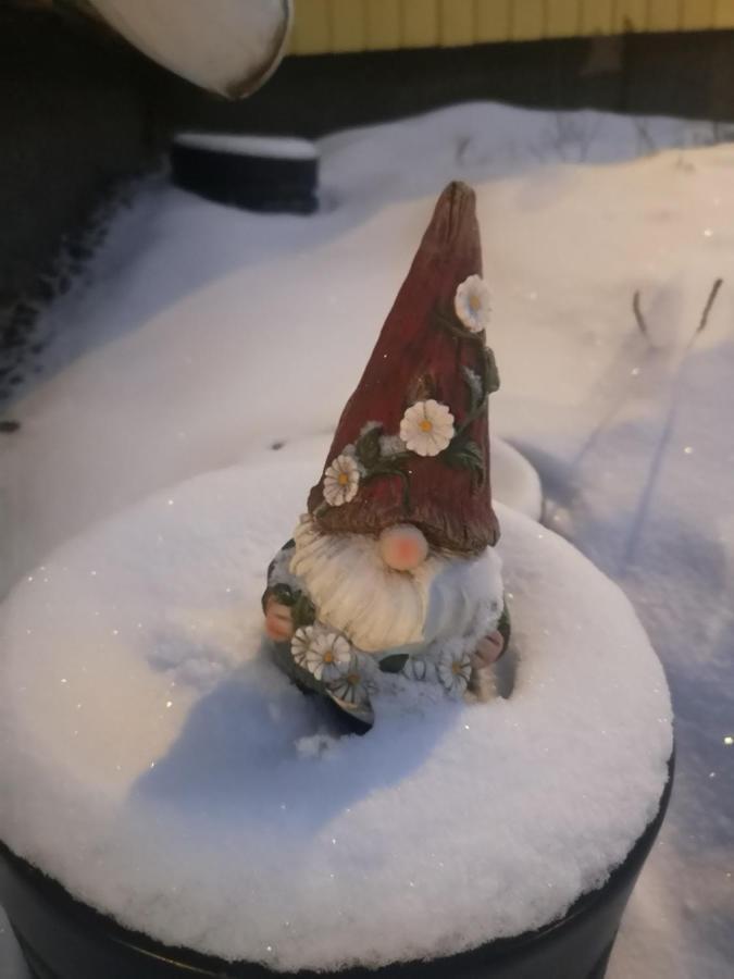 Mummon Saunamokki Hotel Helsinki Kültér fotó